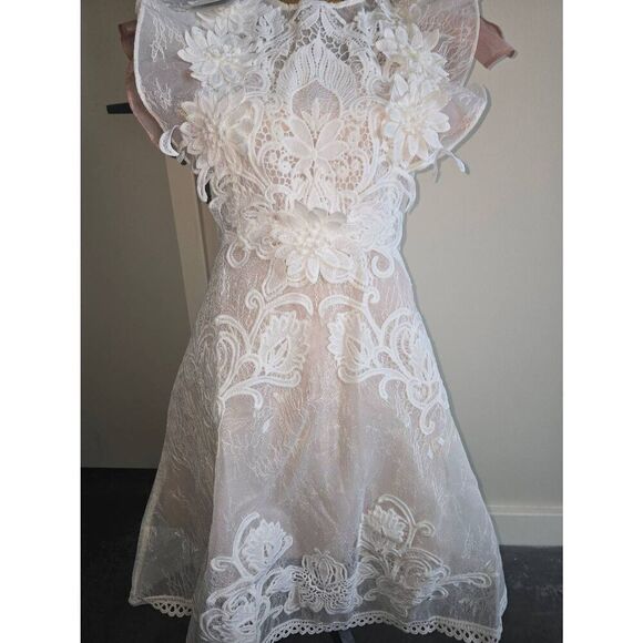 Aimili Lace Lined Dress - Picture 5 of 14